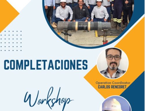 Workshop Completaciones de Pozos – UNNA